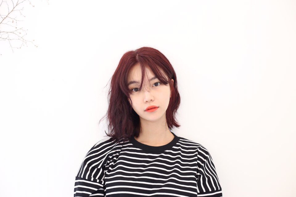 데이민 이미지