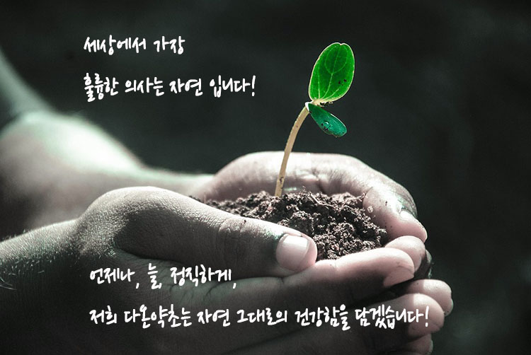 다온약초 이미지