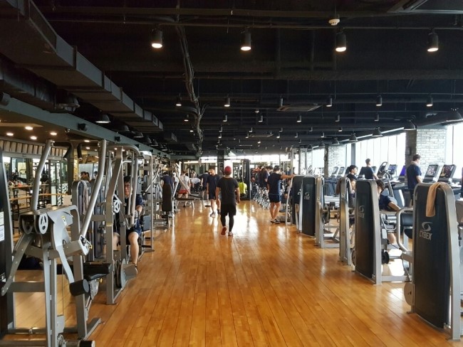 자마이카 휘트니스 이미지
