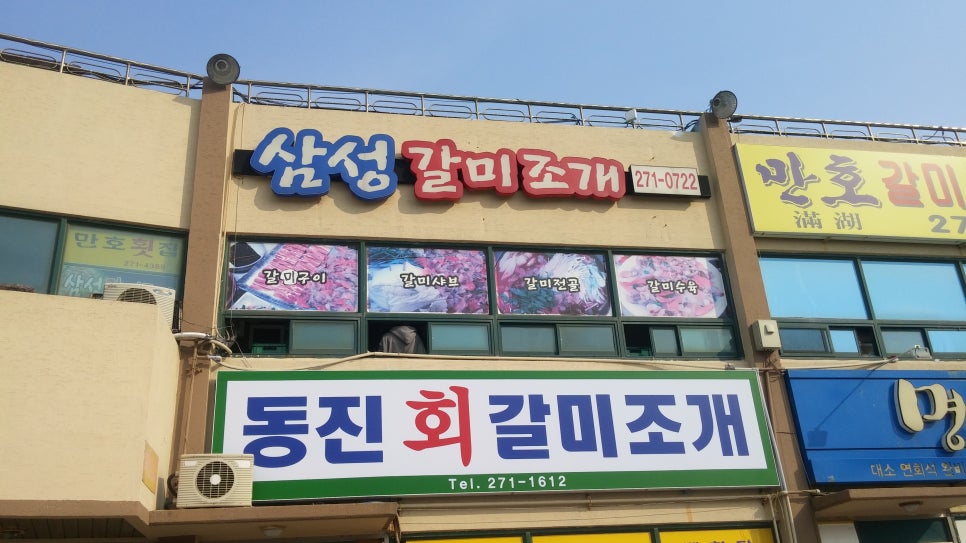 삼성갈미조개 이미지
