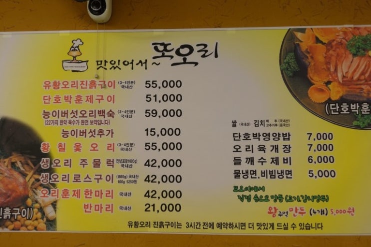 또오리라 이미지