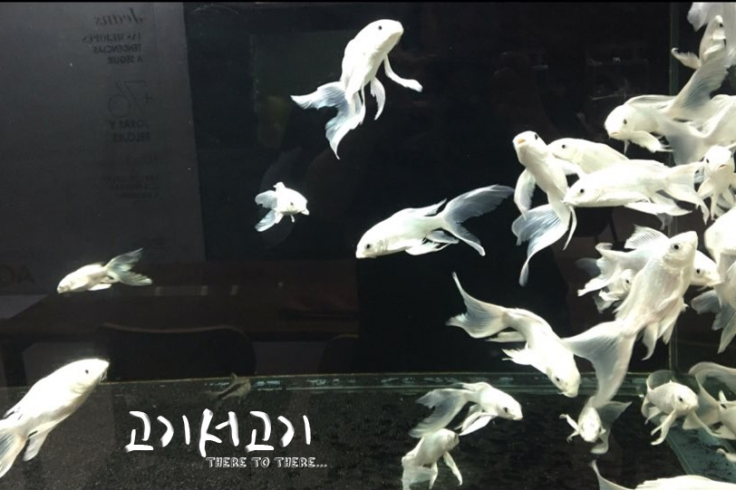 허니빈스 이미지