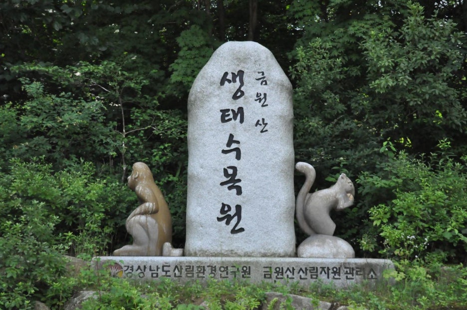 금원산생태수목원 이미지