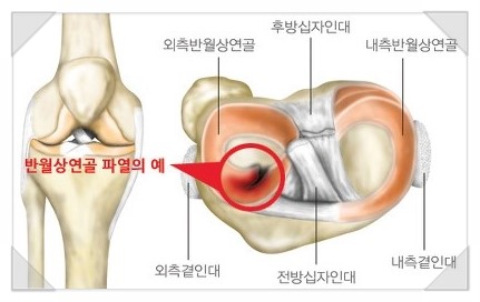 경희토정한의원 이미지