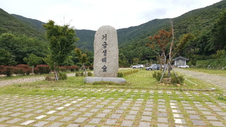 한우천지식당 이미지