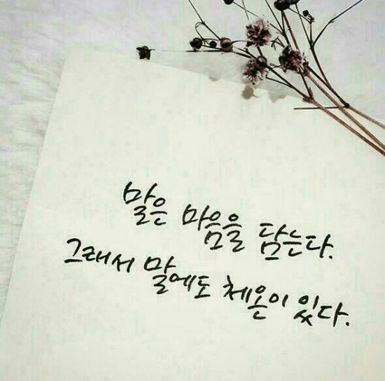쌍용예가크리닝 이미지