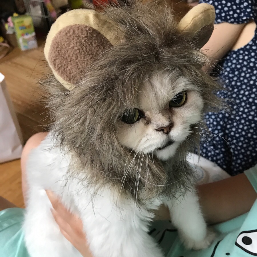 레레 이미지