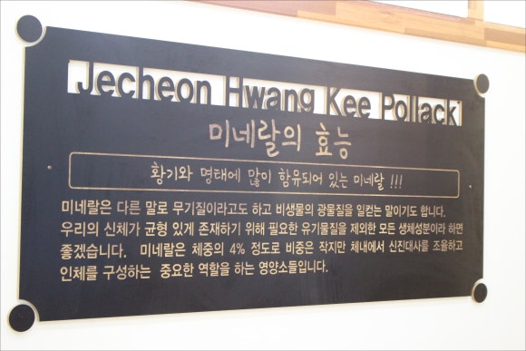 제천황기명태 이미지