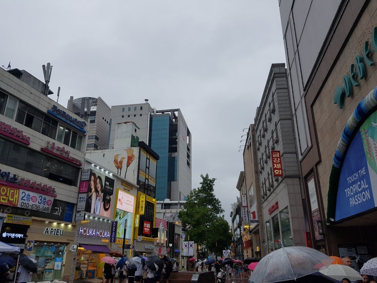 대백통신 이미지