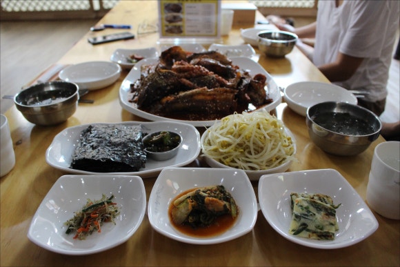 제천황기명태 이미지