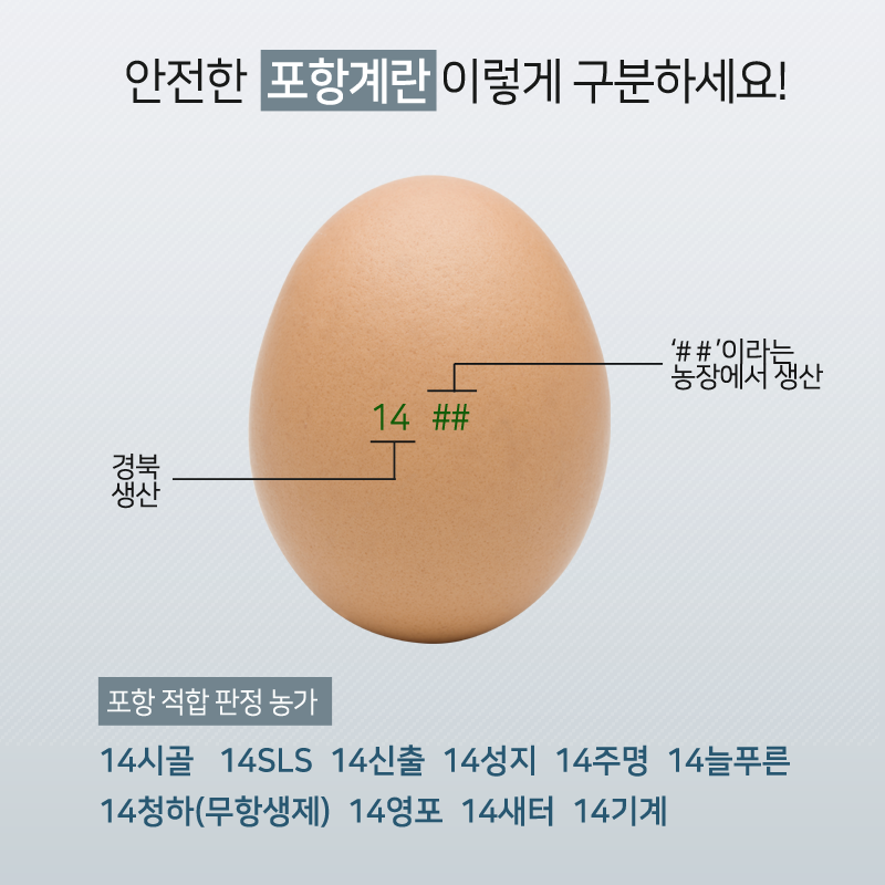 초이스돈까스 이미지