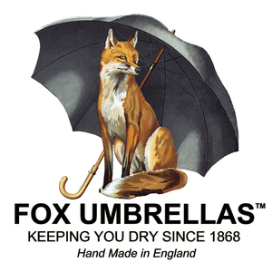 폭스(FOX) 이미지