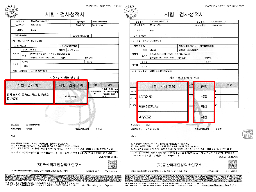 홍삼 정다원 이미지