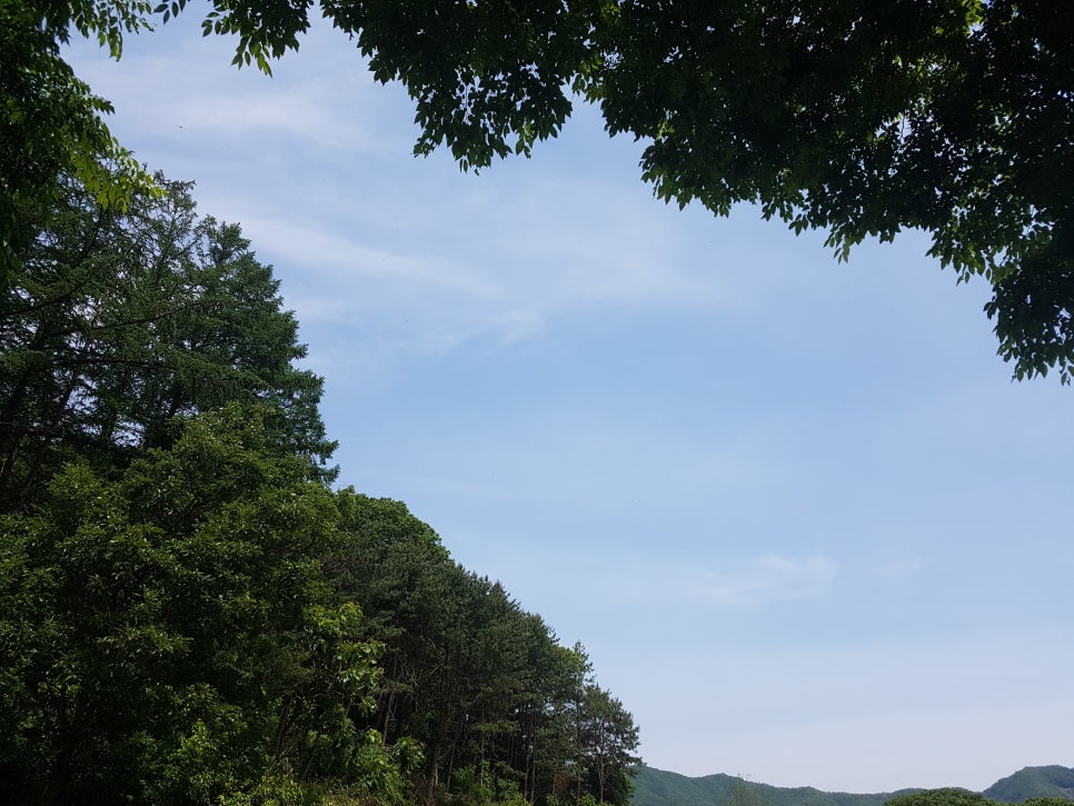 (주)디에스건설 이미지