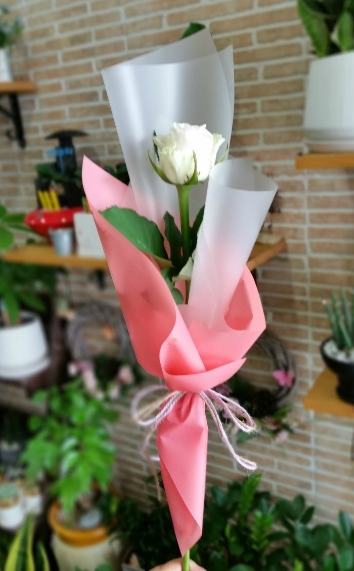 담쟁이화원 이미지