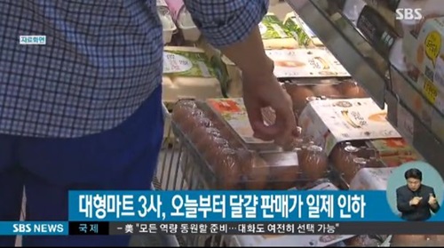 파동마트 이미지