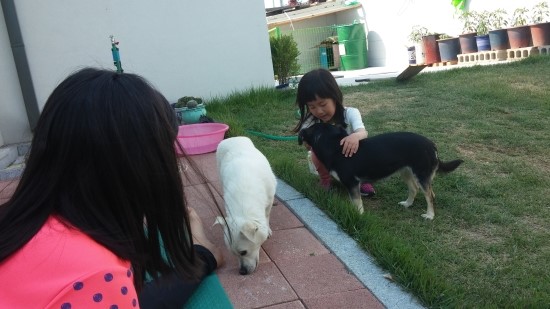 시골본가 이미지