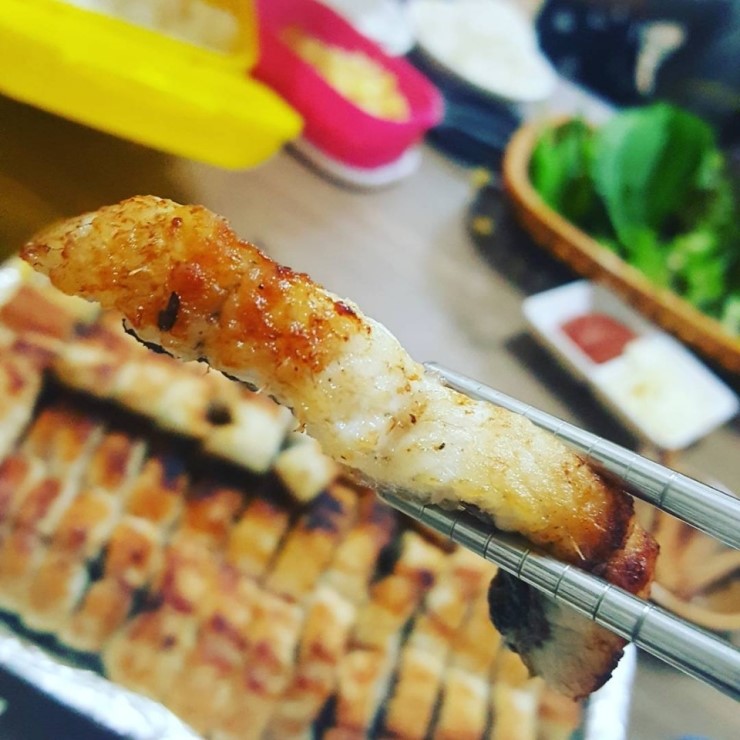 선어대민물장어 이미지