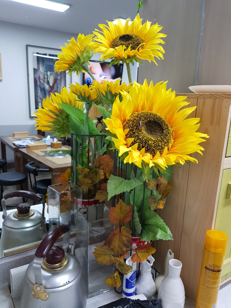 예천손칼국수 이미지