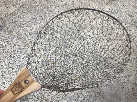 레인보우아웃피터스 이미지
