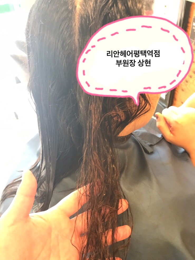 아르보헤어 이미지