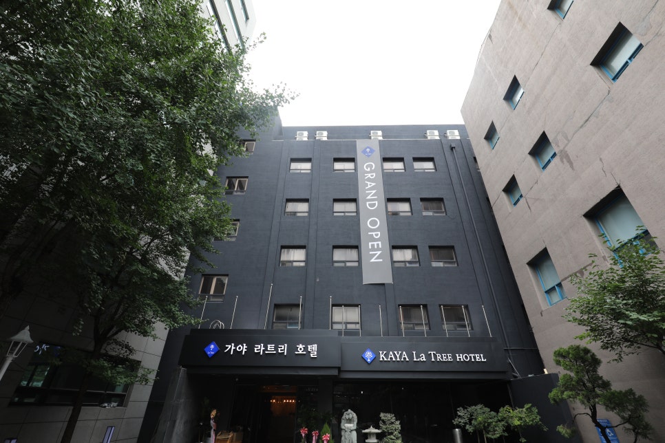 남영관광 이미지