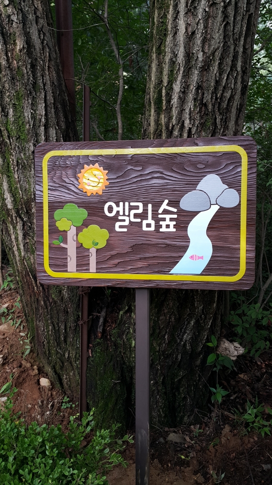 양실유치원 이미지