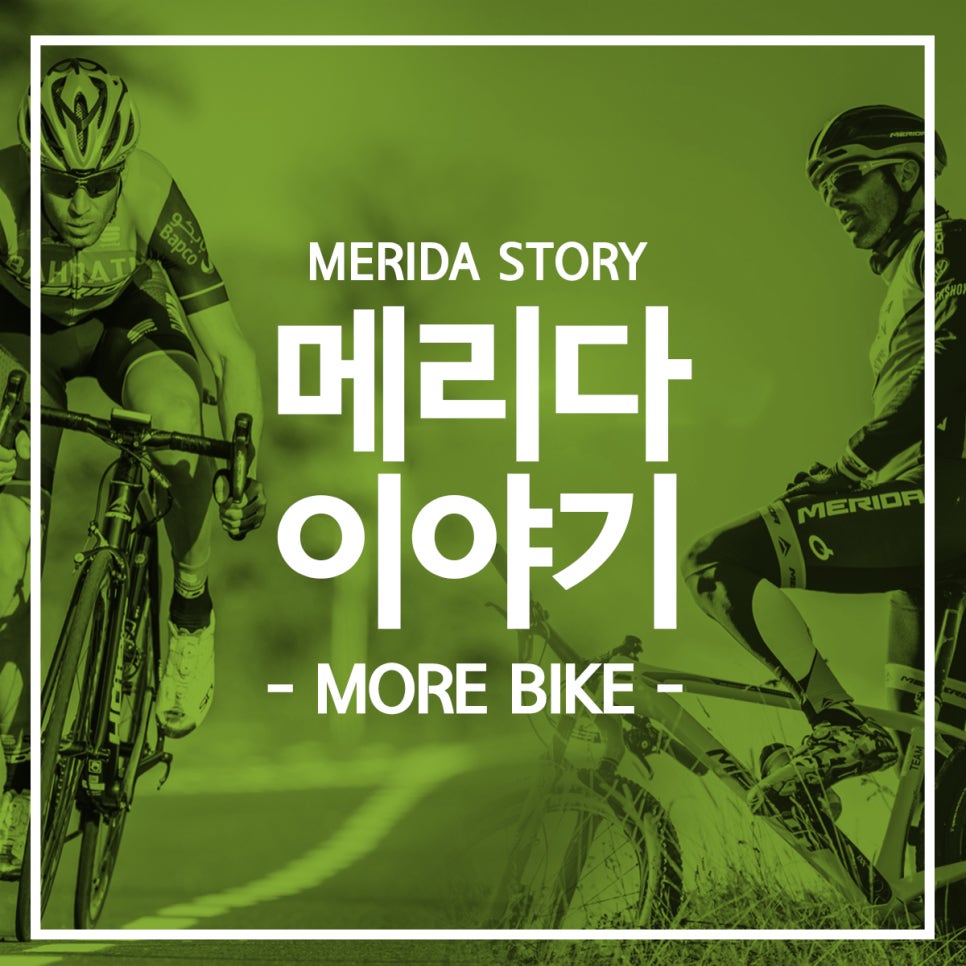 merida(메리다) 이미지