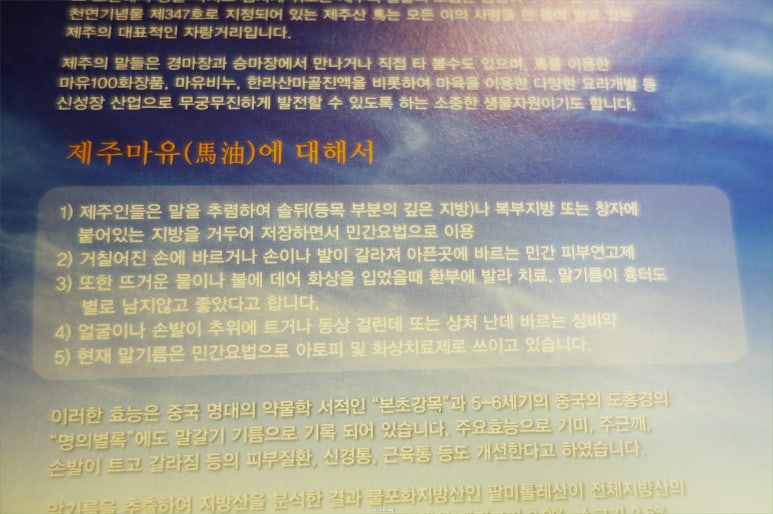 뉴제주명품 이미지