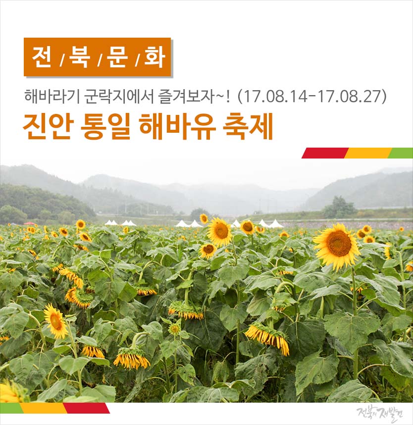 해바유 이미지