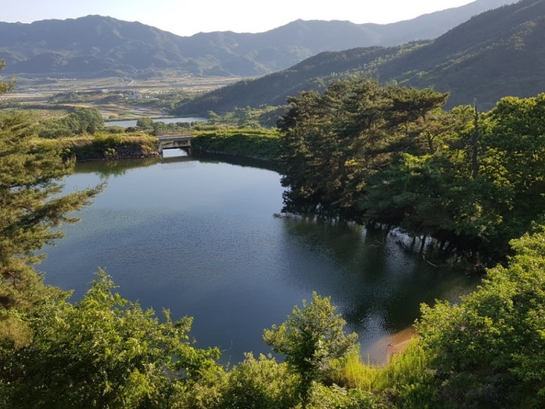 지리산 굼벵이 이미지