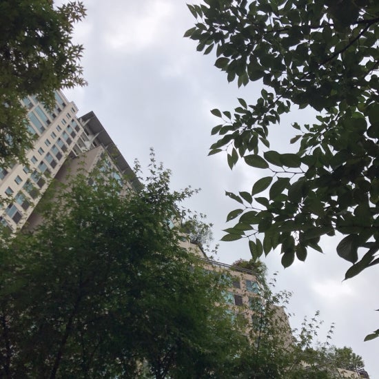 그린플라워앤가든 이미지