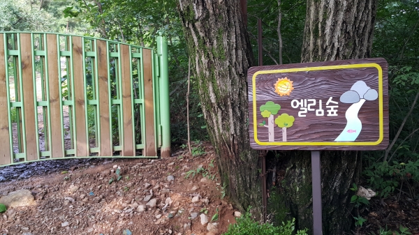 양실유치원 이미지