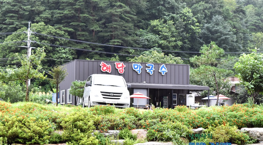 해담 막국수 이미지