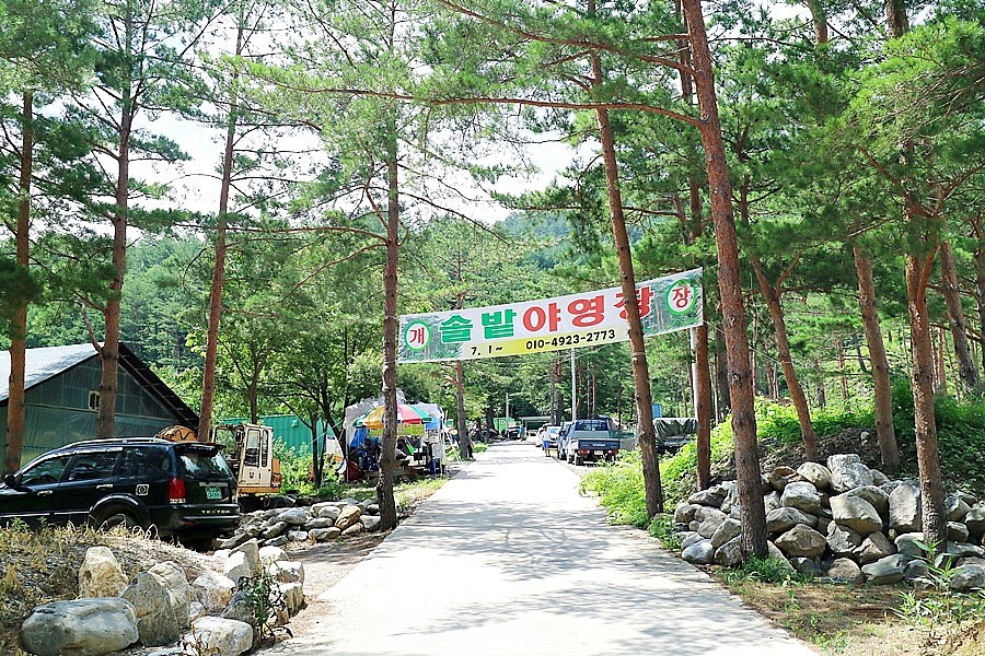 덕풍계곡마을 야영장 이미지