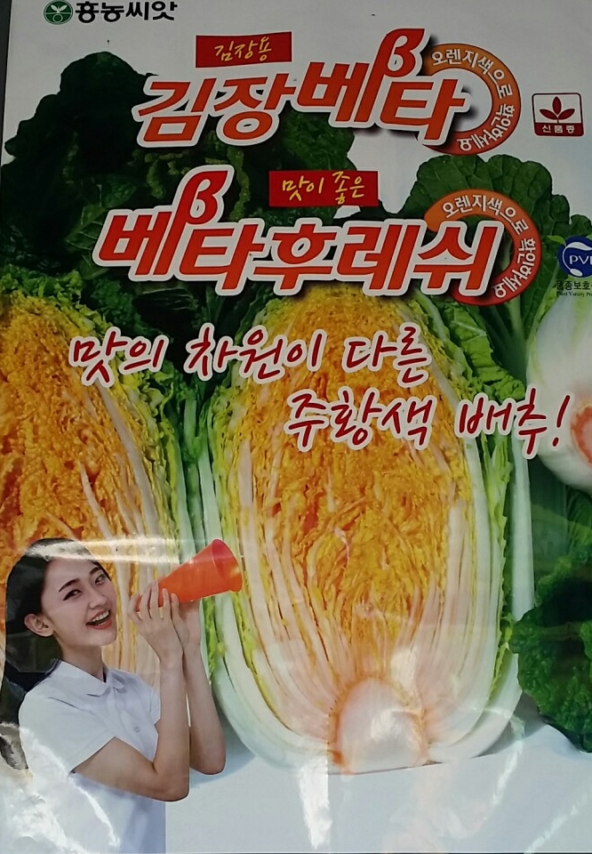 경기종묘사 이미지