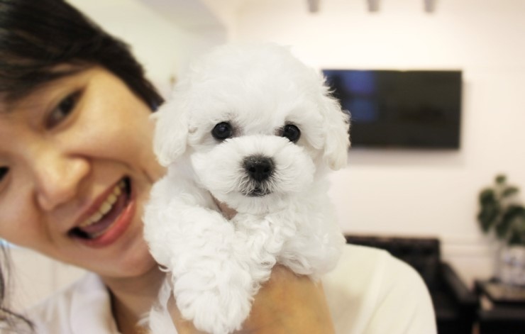 스타미용타운 이미지