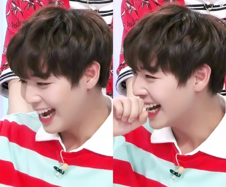 이미지