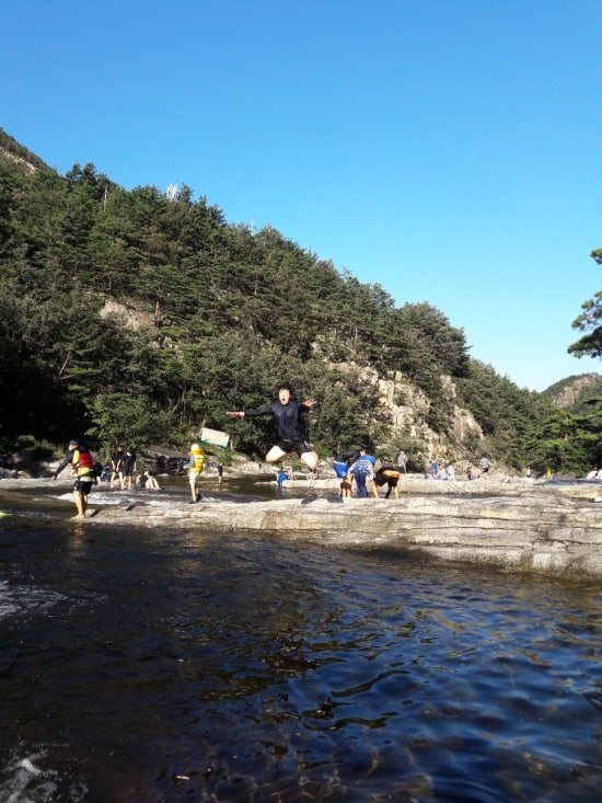 청옥횟집 이미지