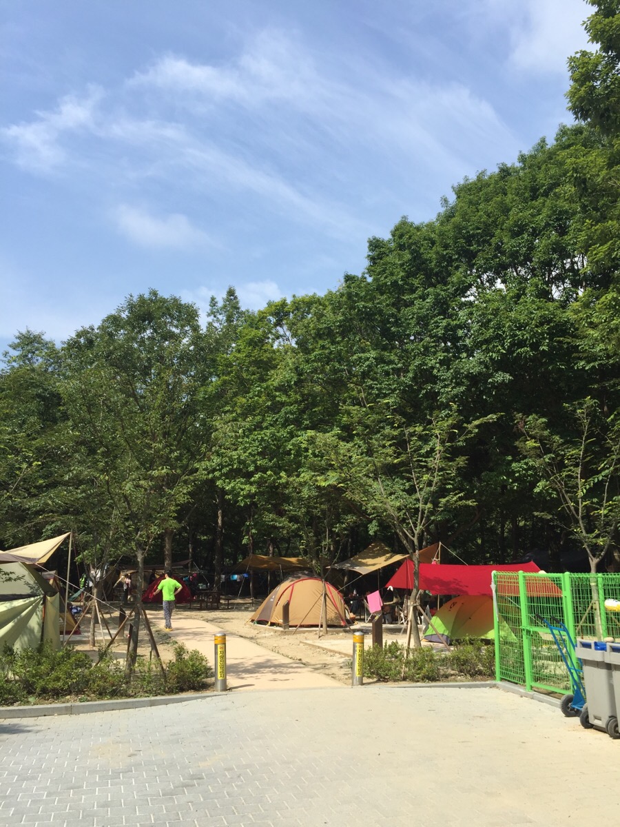 지리산쉼표 이미지