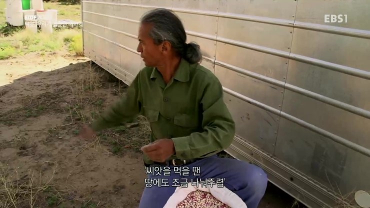한국농약씨앗 이미지