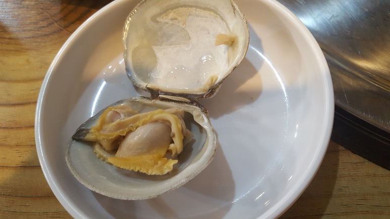 생생조개 이미지