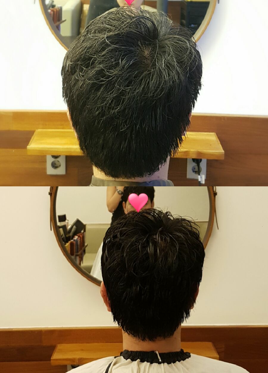 장스헤어 이미지
