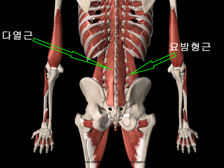 화목한의원 이미지
