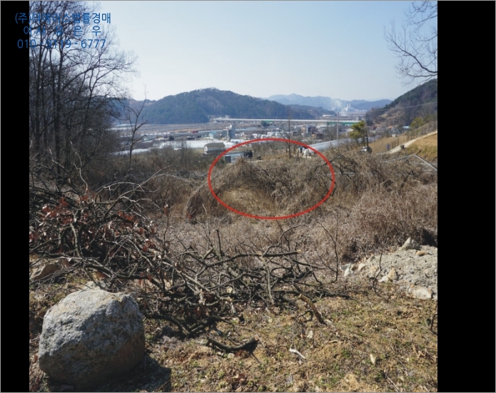 [국도1] 세종시 발산리 이미지