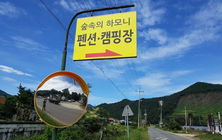 숲속의하모니 이미지
