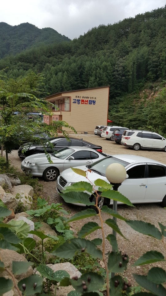 고향펜션캠핑 이미지