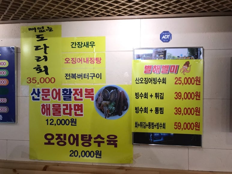오징어나라 이미지