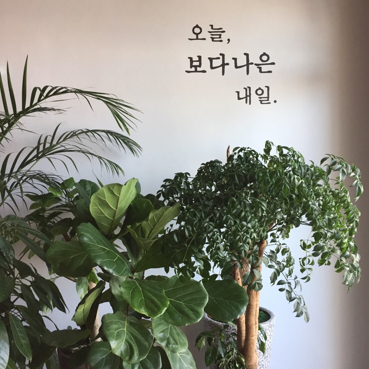 보다나은 이미지