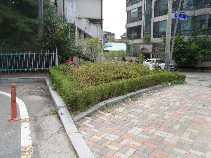 대지청과 이미지